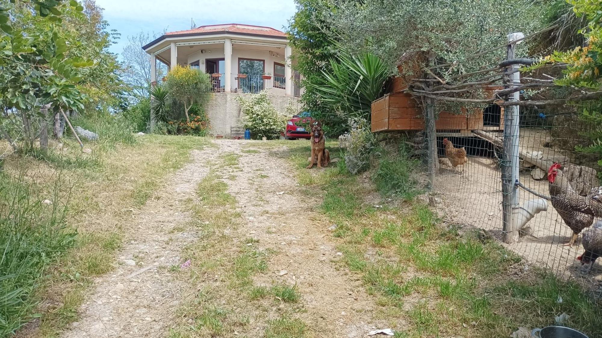 Palapico Bonifati Exterior foto