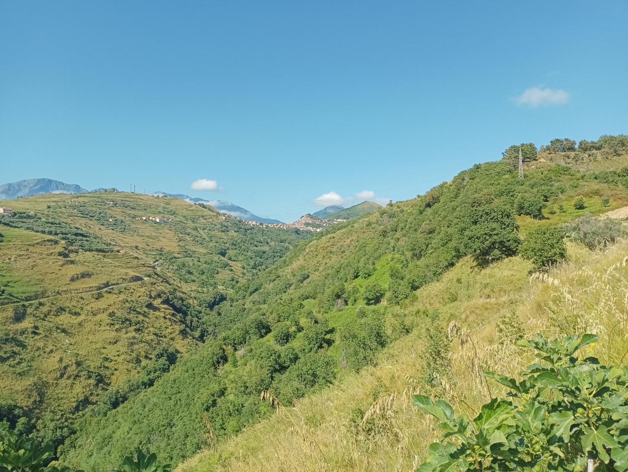 Palapico Bonifati Exterior foto